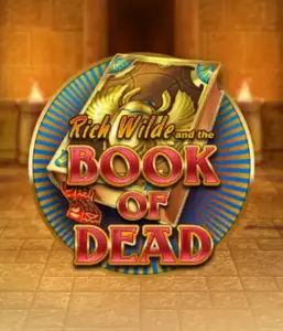 Embark on the thrilling world of Book of Dead Slot by Play'n GO, presenting vivid graphics of Rich Wilde's journey through ancient Egyptian tombs and artifacts. Discover lost riches with engaging mechanics like free spins, expanding symbols, and a gamble option. Ideal for adventure enthusiasts with a desire for exciting finds.